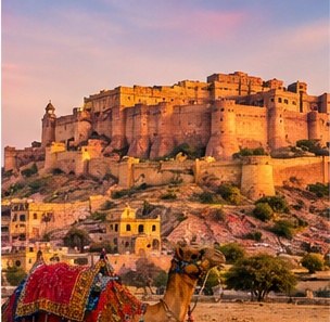 Royal Rajasthan holiday package, 6N/7D · Family
